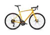 Specialized ALLEZ E5 58 CALSUN/ORGZST