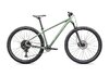 Specialized Rockhopper Comp Gloss Pistachio / White Mountains XL - 29