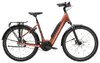Trek District+ 4 Lowstep XL Pennyflake 725WH
