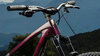 Trek Fuel MX 9.8 EA90 L Gloss Dark Carmine/Matte Trek B