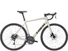 Trek Domane AL 2 61 Gloss Supernova